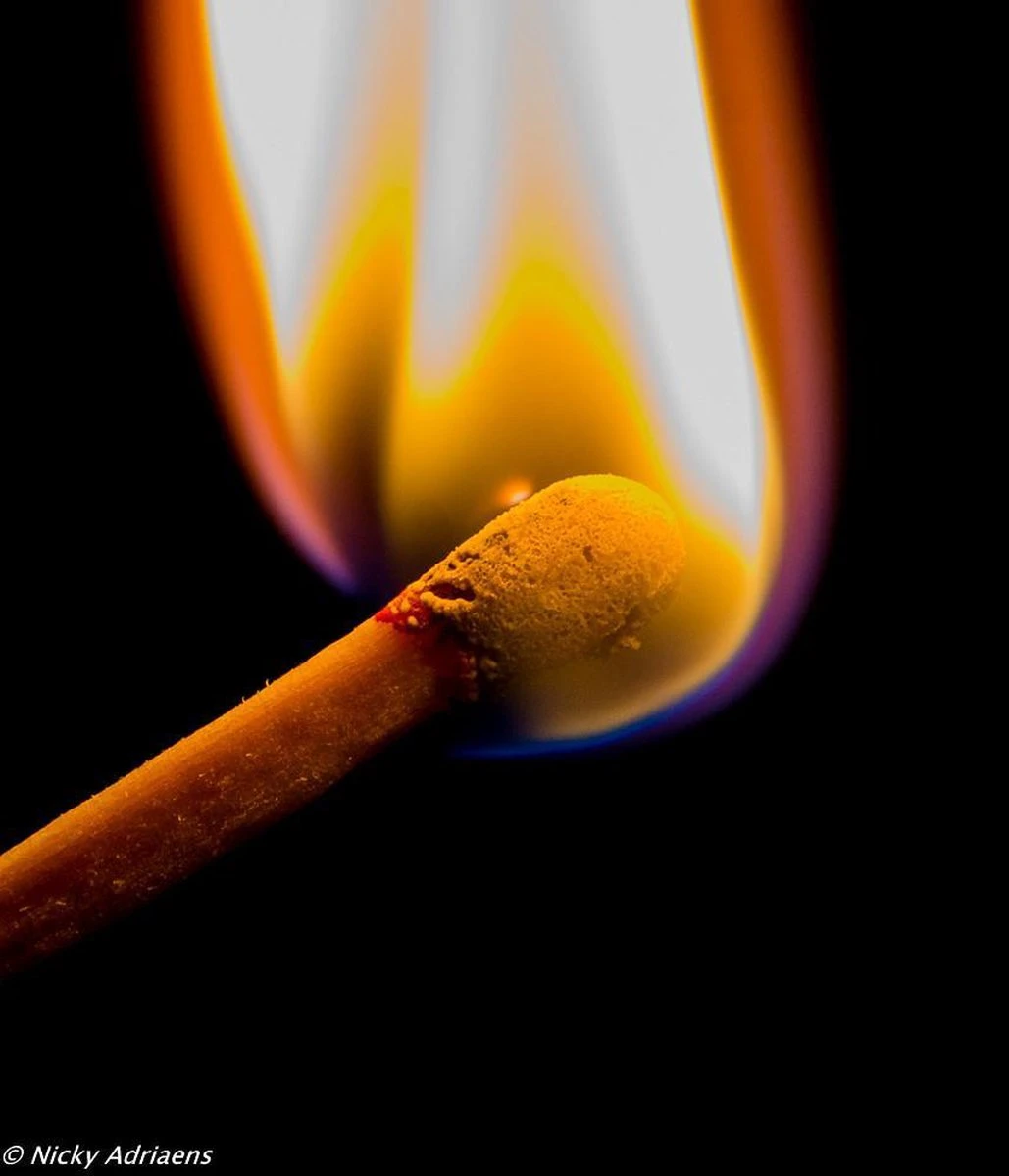 PROF-FIRE - 5 DOZEN !! XXL Lange Lucifers Van +/- 22 Cm - 5 X 40 Stuks (200 Stuks) - Topper!! - Fire-Up Kwaliteit - Afbeelding 3