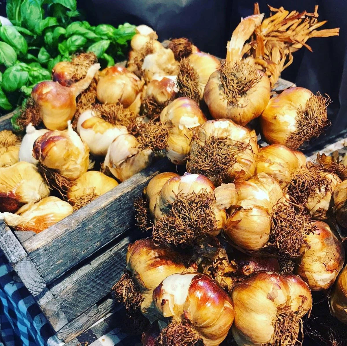 Garlicmaster Knoflookpers - Ook Voor Kruiden En Noten - Paars - Afbeelding 3