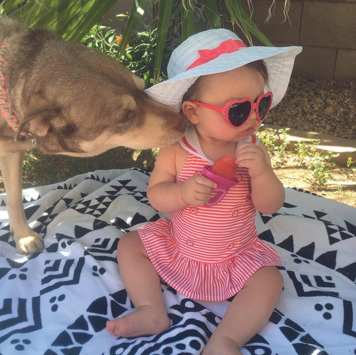 Nûby - Ijslolly Vormpjes - Afbeelding 4