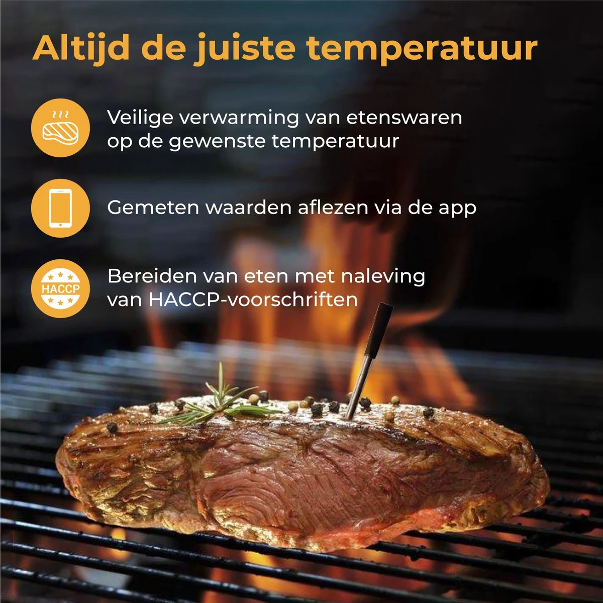 Nuvance - Vleesthermometer Draadloos Met App - BBQ Thermometer Met Bluetooth - Meater - Oventhermometer - BBQ Accesoires - RVS - Afbeelding 2
