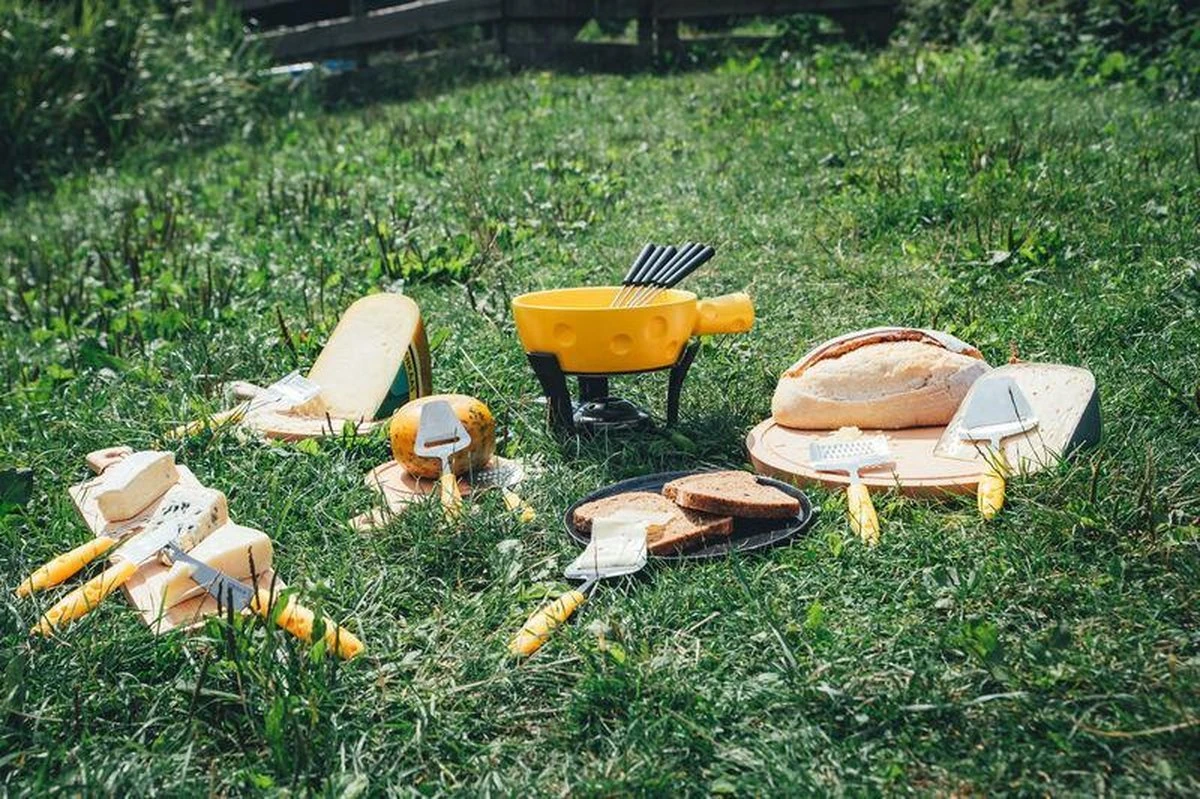 Boska Kaasrasp Cheesy - Kaasrasp Harde Kaas - Kaasrasp Voor Oude Kaas - Vaatwasserbestendig - Gele Kaasrasp - Multifunctionele Kaasschaaf - RVS - Keukengerei - Keuken Accessoires - 10 Jaar Garantie - Afbeelding 4