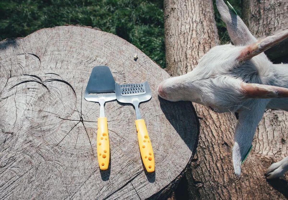 Boska Kaasschaaf Cheesy - Kaasschaaf Harde Kaas - Kaasschaaf Voor Oude Kaas - Groenteschaaf - Groentesnijder - Vaatwasserbestendig - Gele Kaasschaaf - Multifunctionele Kaasschaaf - RVS - Keukengerei - Keuken Accessoires - 10 Jaar Garantie - Afbeelding 4