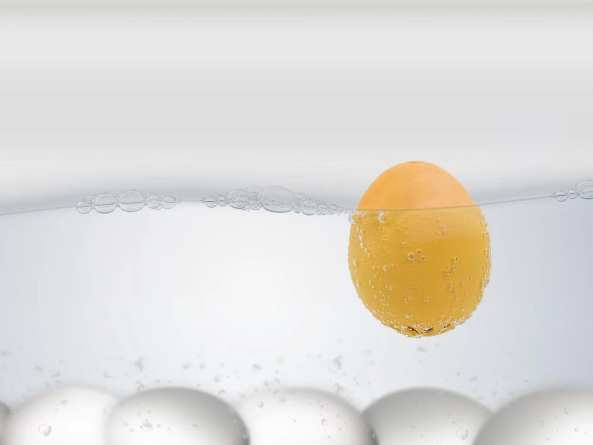 Brutus Kookt! Piepei Eierwekker - Timetravel 80´s - Afbeelding 2