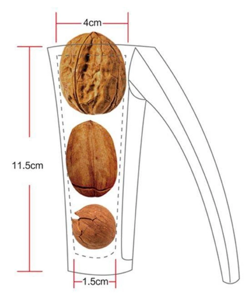 DROSSELMEYER - Notenkraker - Notenkraker Zwart - Afbeelding 6